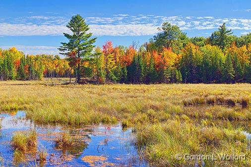 Autumn Landscape_28328-9.jpg - Photographed in the Canadian Shield near Maberly, Ontario, Canada.